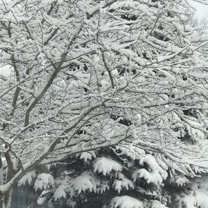 Meet your Posher, Becky